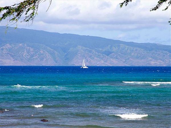 Lahaina Condo 966702