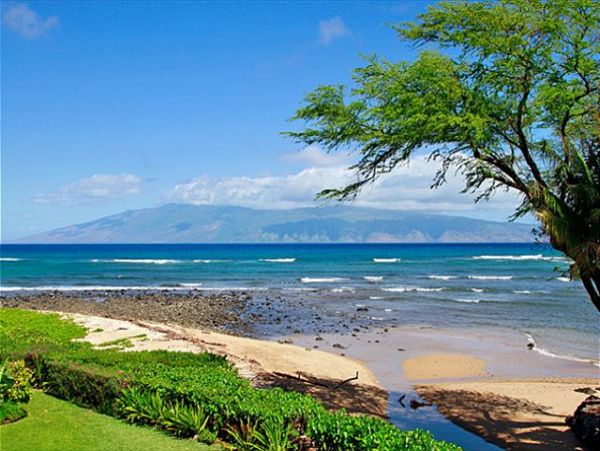 Lahaina Condo 966702