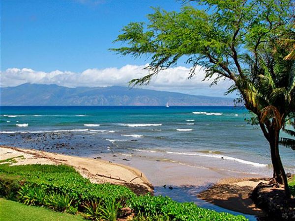 Lahaina Condo 966702