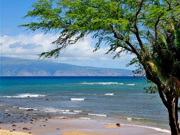 Lahaina Condo 966702