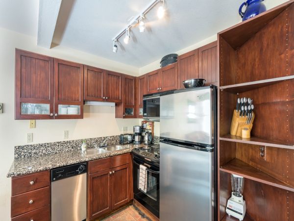 Aspen Condo 966711