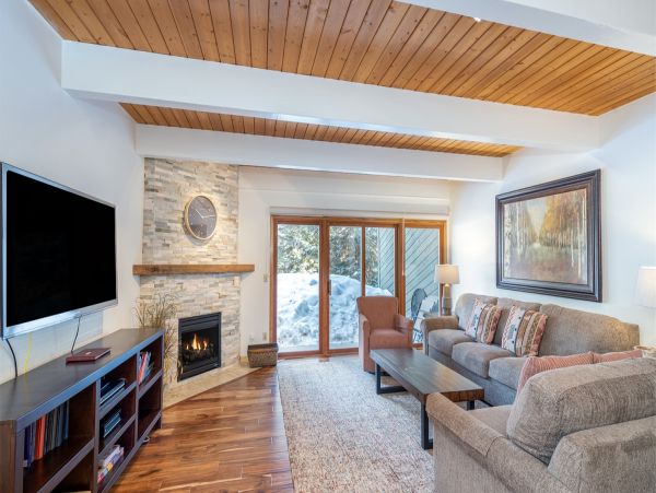 Aspen Condo 966740