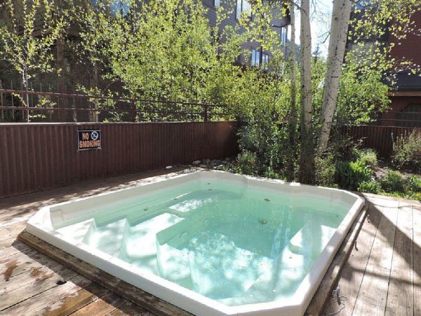 Aspen Condo 966741