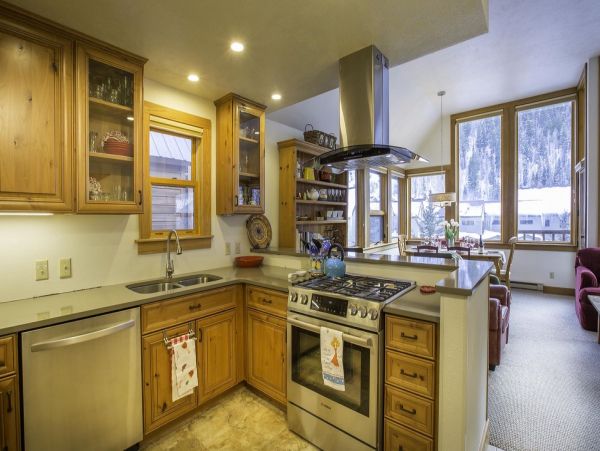 Aspen Condo 966752