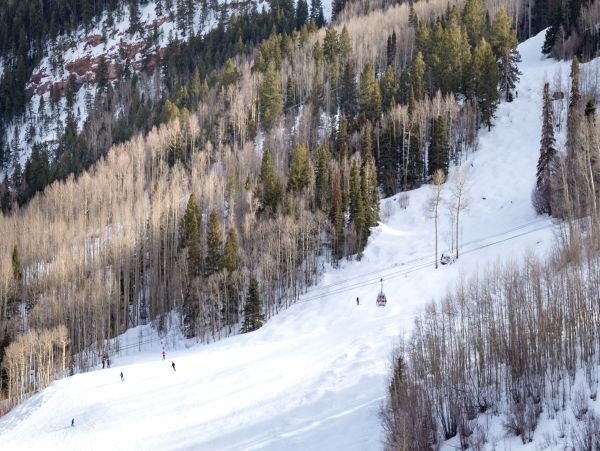 Aspen Condo 966758