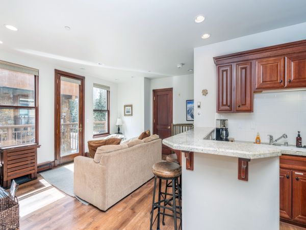 Aspen Condo 966760