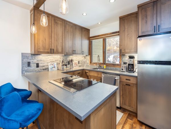Aspen Condo 966761
