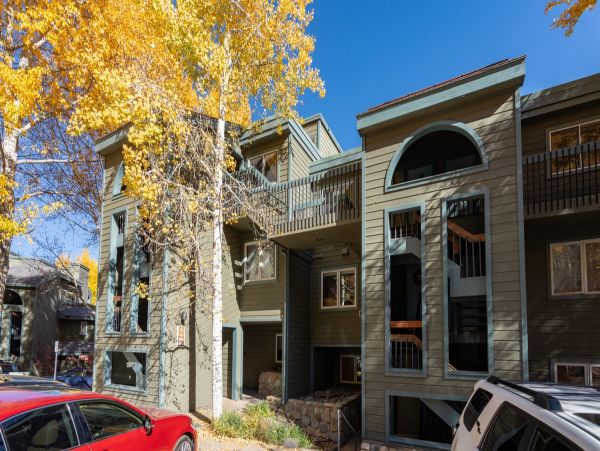Aspen Condo 966761