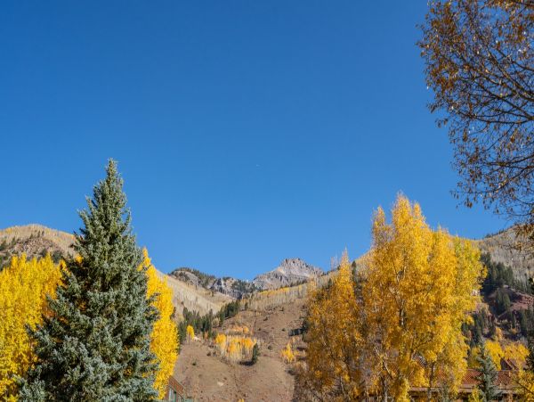 Aspen Condo 966761