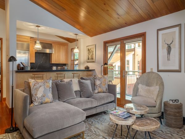 Aspen Condo 966764