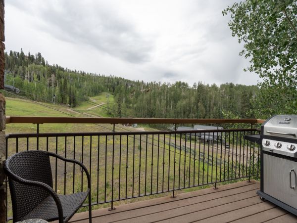 Aspen Condo 966768