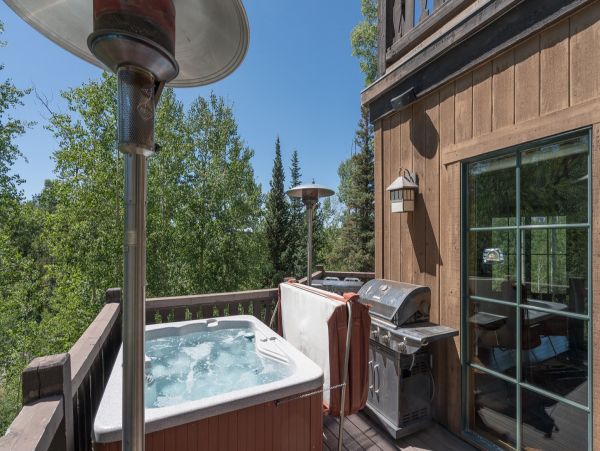 Aspen Condo 966792
