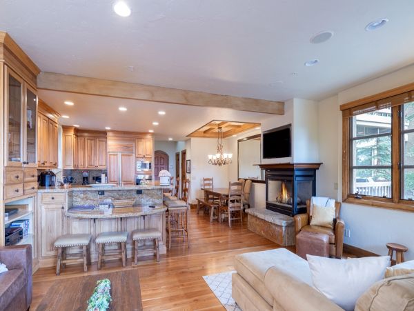 Aspen Condo 966794