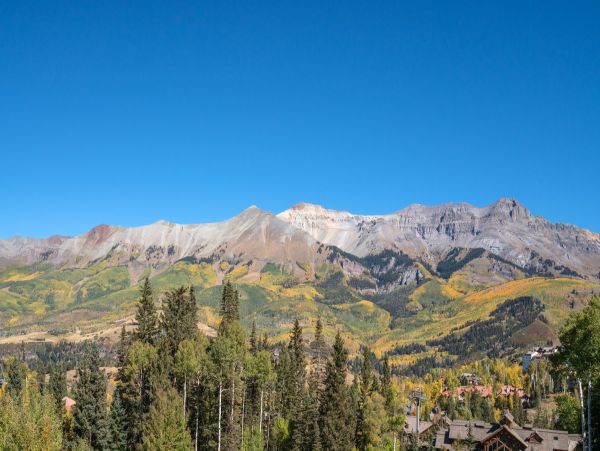 Aspen Condo 966794