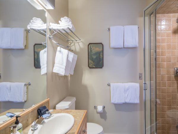 Aspen Condo 966795
