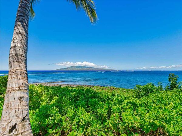 Oceanview Lahaina Vacation Townhome One Bedroom