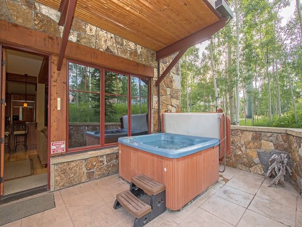 Aspen Condo 966813