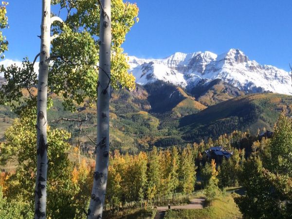 Aspen Home 966832