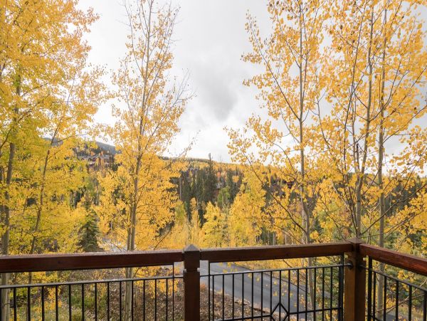 Aspen Home 966834