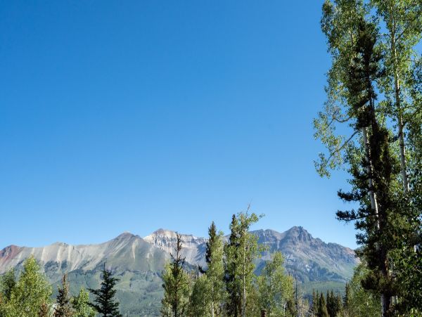 Aspen Home 966843
