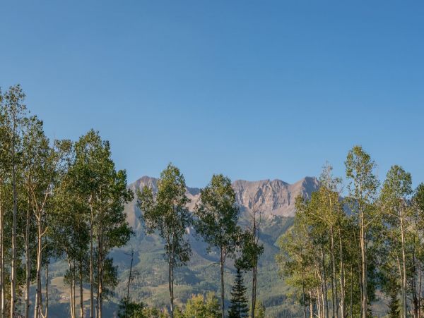 Aspen Condo 966849