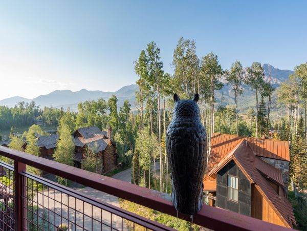 Aspen Condo 966849