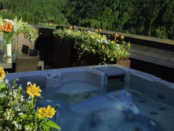Aspen Condo 966871