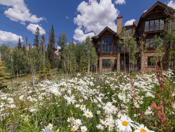 Aspen Home 966875