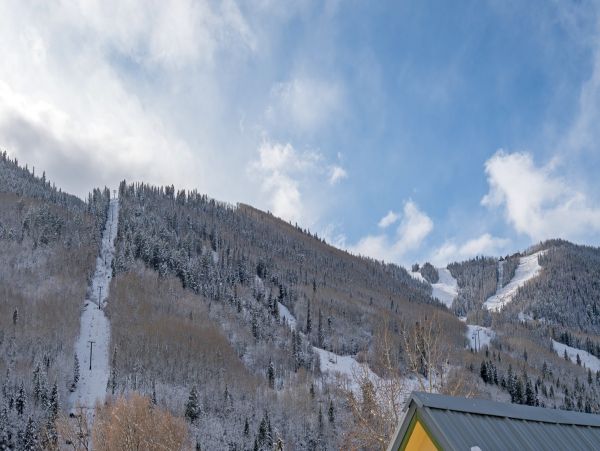 Aspen Condo 966880
