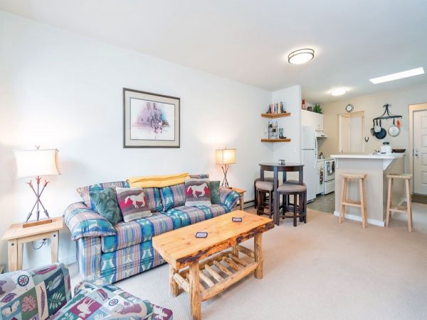 Aspen Condo 966882