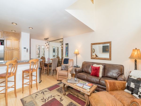 Aspen Condo 966888