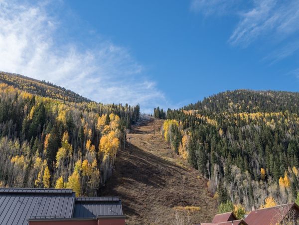 Aspen Condo 966888