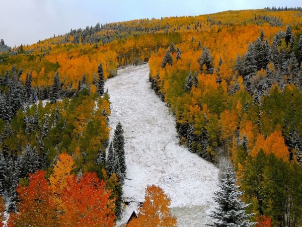 Aspen Condo 966891
