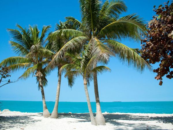 Key West Vacation Home With Private Pool 8 Guests
