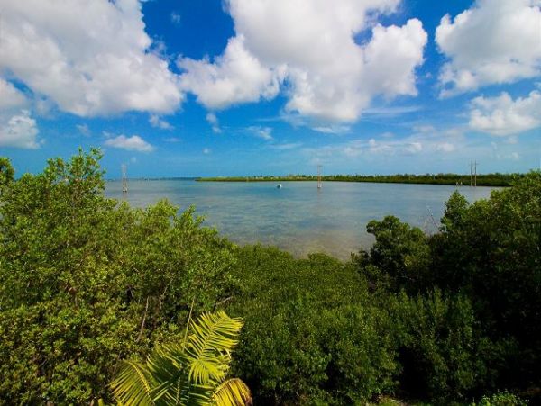 The Florida Keys Home 966921