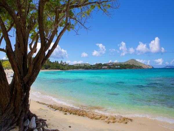 Oceanfront St. Thomas Vacation Condo One Bedroom