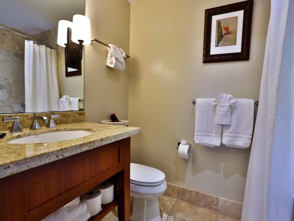 Kaanapali Condo 966937