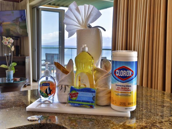 Kaanapali Condo 966937