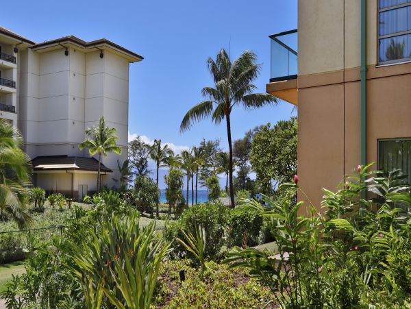 Kaanapali Condo 966946