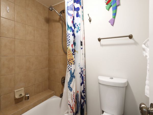 Kaanapali Condo 966964