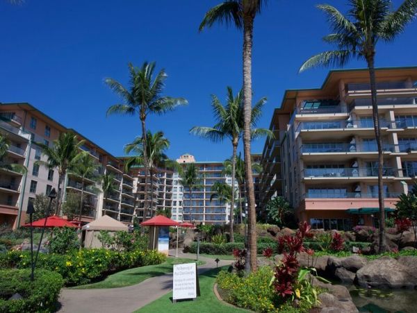 Two Bedroom Luxury Amenities Beach Condo Maui