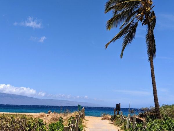 Two Bedroom Luxury Amenities Beach Condo Maui