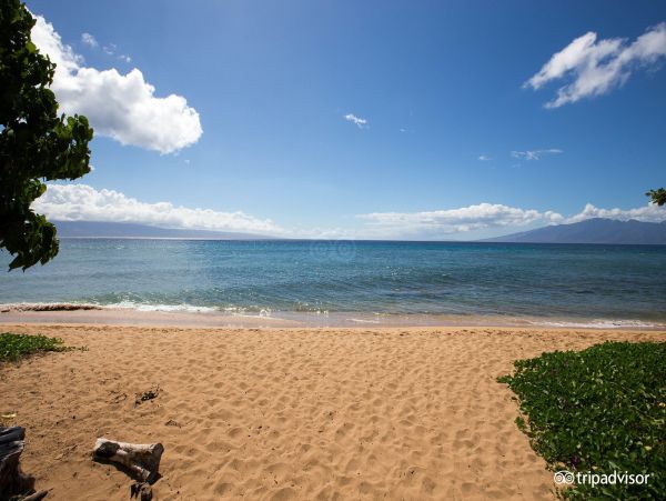 Two Bedroom Luxury Amenities Beach Condo Maui