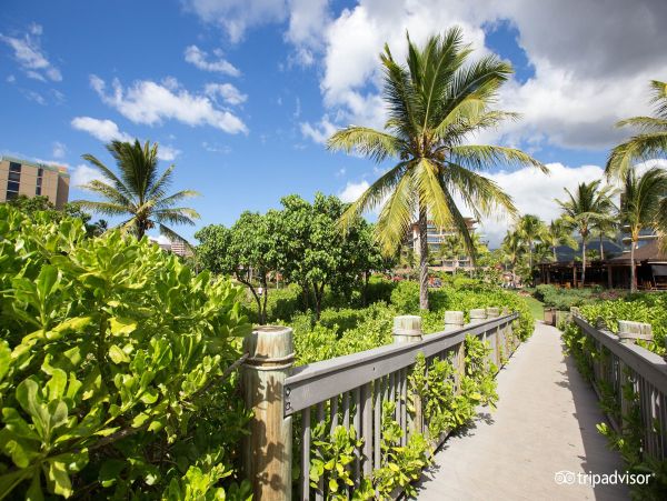 Two Bedroom Luxury Amenities Beach Condo Maui