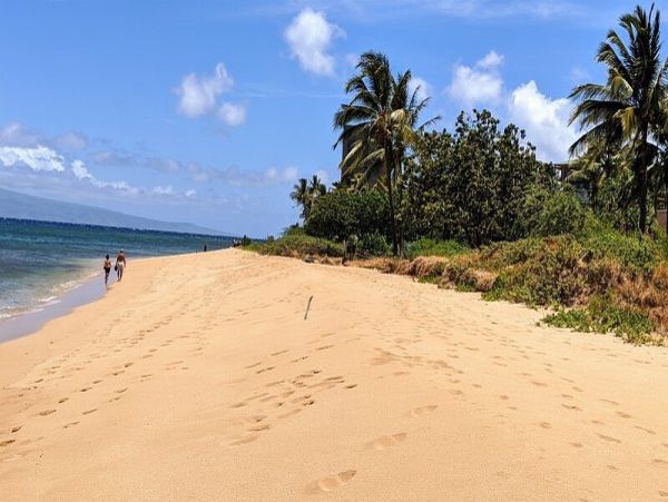 Two Bedroom Luxury Amenities Beach Condo Maui