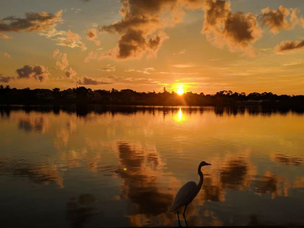 Siesta Key Condo 967002