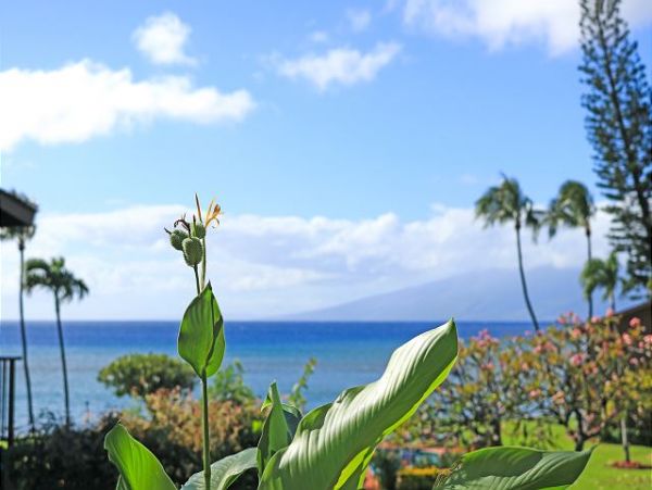 Kaanapali Condo 967026