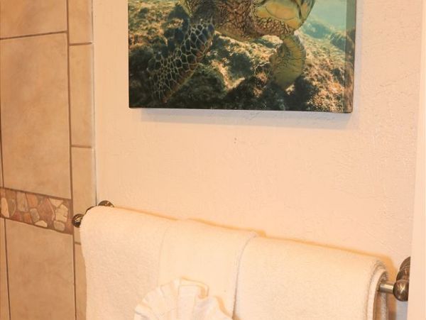 Kaanapali Condo 967032