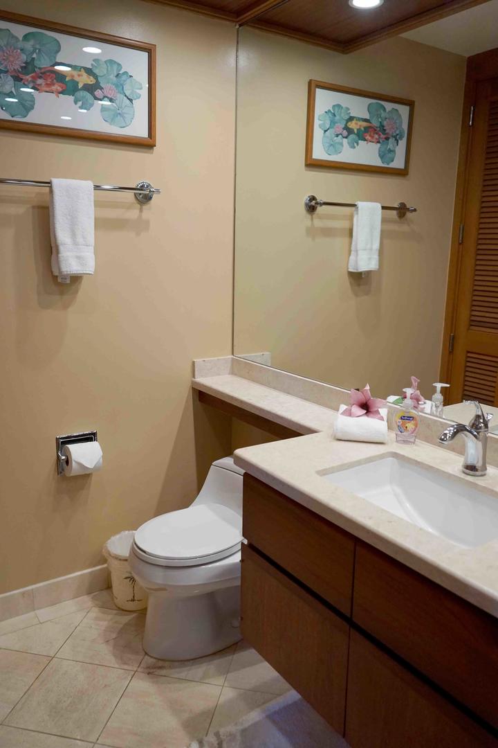 Kohala Coast Condo 967053