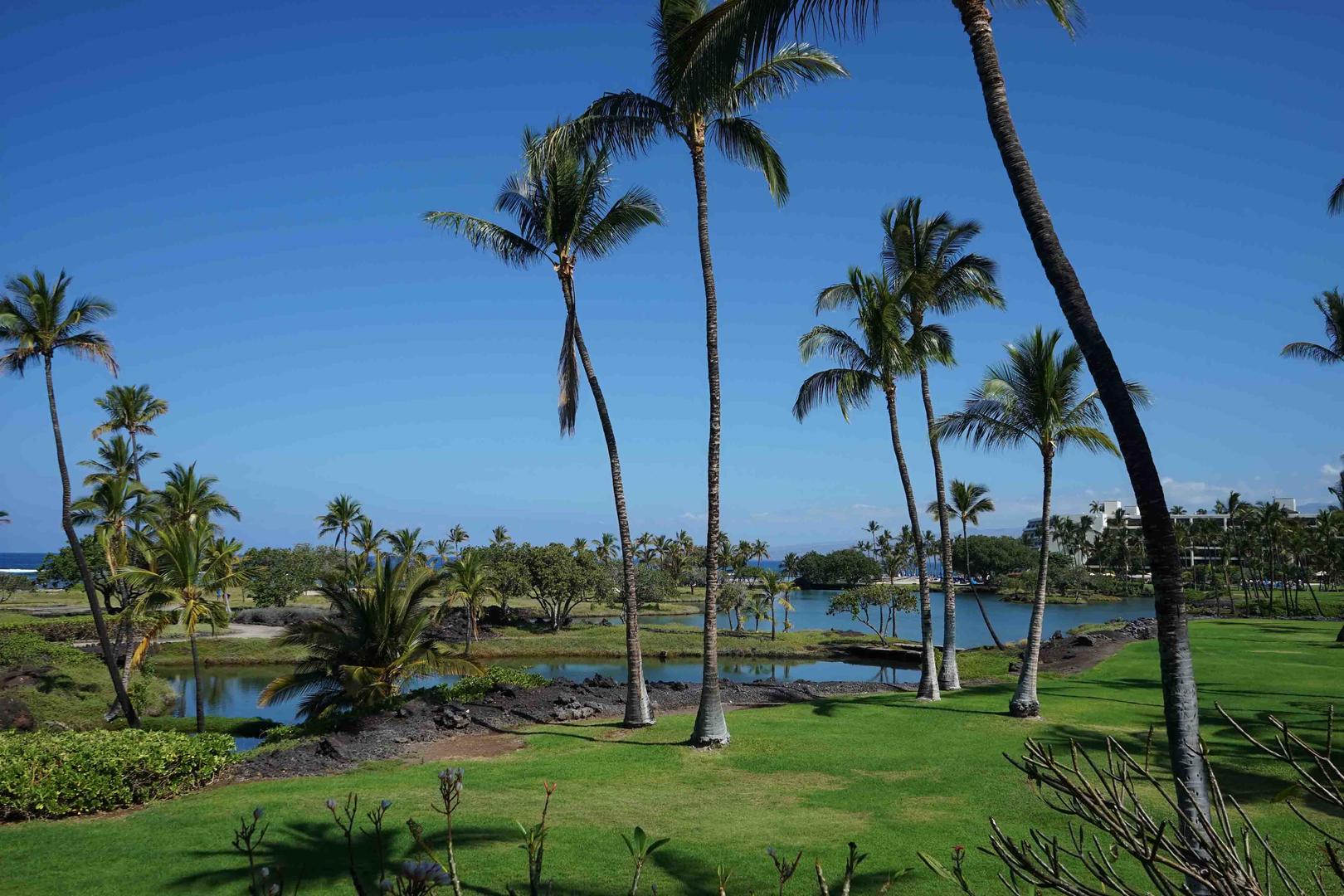 Kohala Coast Condo 967053